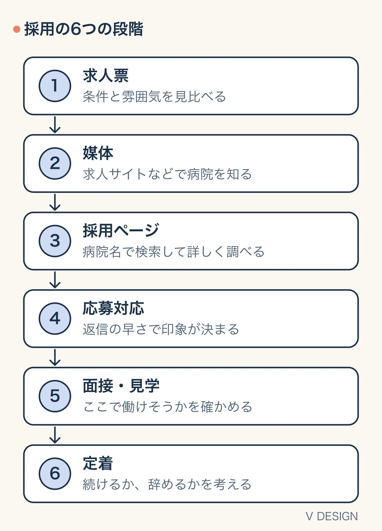 採用の6つの段階（求人票→媒体→採用ページ→応募対応→面接・見学→定着）と、各段階での求職者の動き