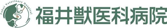 福井獣医科病院